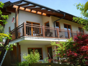 Гостиница Golf & Ski Appartements Lesak, Целль-Ам-Зее